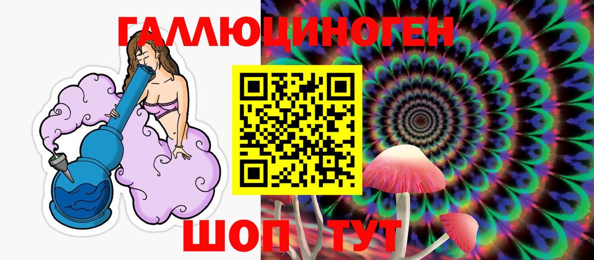 Галлюциногенные грибы Psilocybine cubensis Шали
